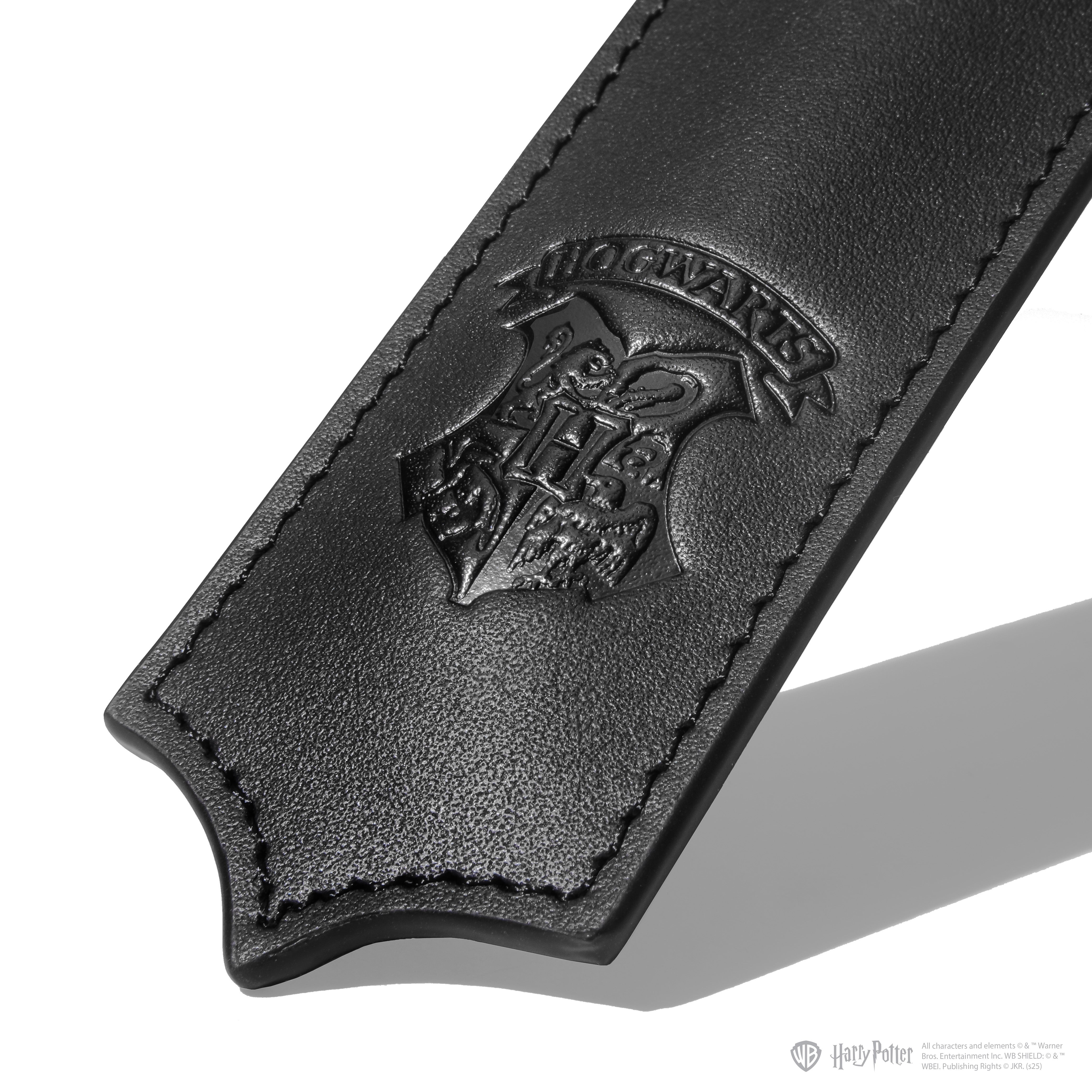 Warner Bros. | Harry Potter | Joule Fountain Pen | Slytherin House