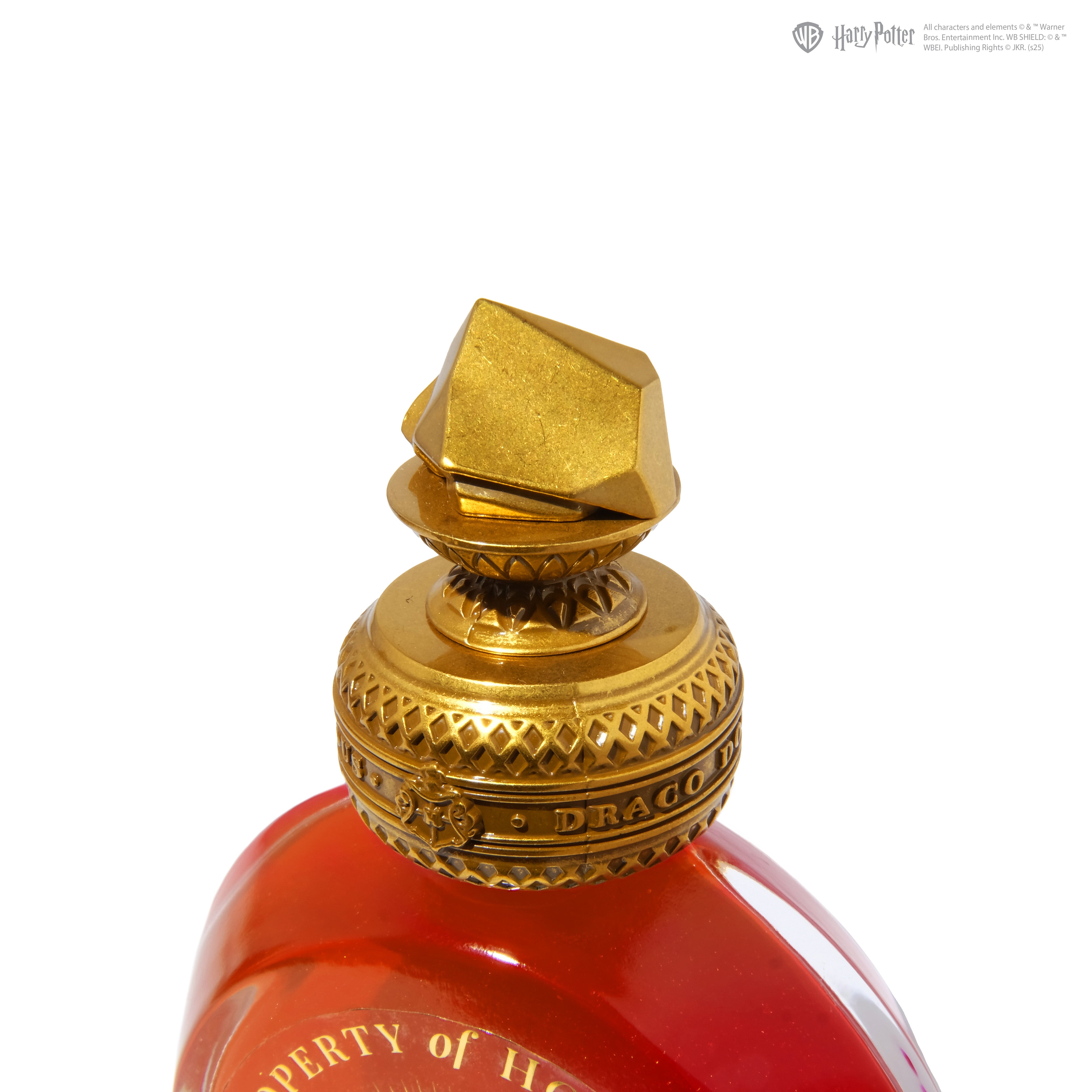 Warner Bros. | Harry Potter | Property of Hogwarts™ 38ml Ink | Limited Edition | The Sorcerer's Stone